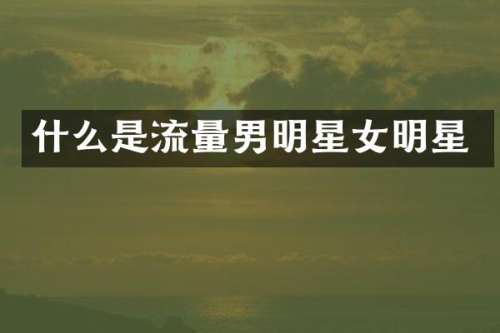 什么是流量男明星女明星
