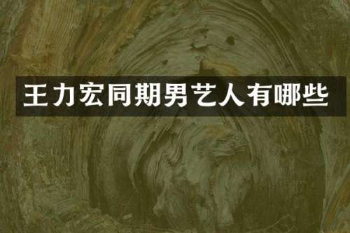王力宏同期男艺人有哪些