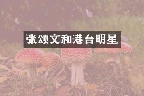 张颂文和港台明星