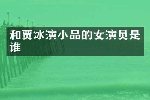 和贾冰演小品的女演员是谁