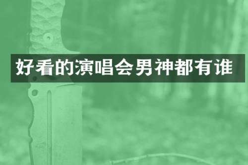 好看的演唱会男神都有谁