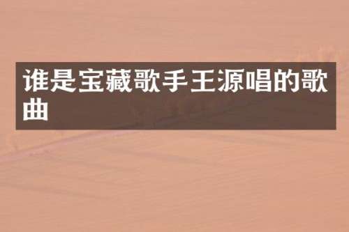 谁是宝藏歌手王源唱的歌曲