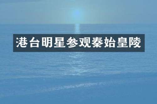 港台明星参观秦始皇陵