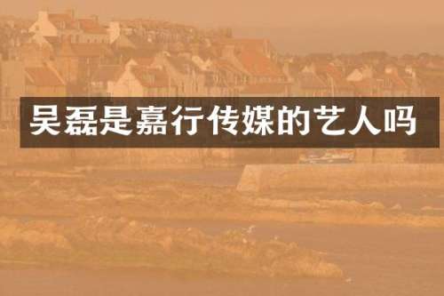 吴磊是嘉行传媒的艺人吗