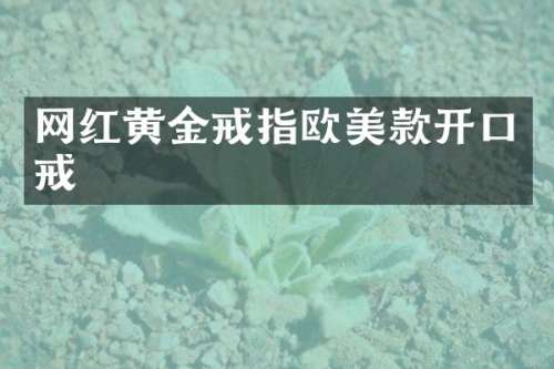 网红黄金戒指欧美款开口戒