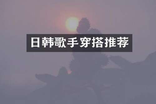 日韩歌手穿搭推荐