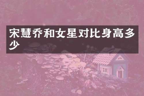 宋慧乔和女星对比身高多少