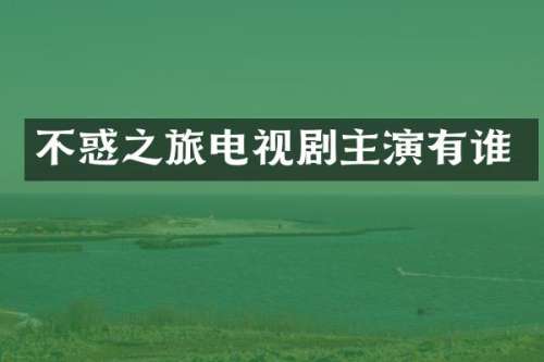 不惑之旅电视剧主演有谁