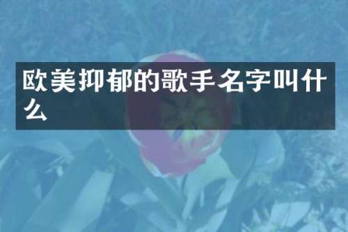 欧美抑郁的歌手名字叫什么