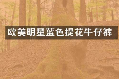 欧美明星蓝色提花牛仔裤