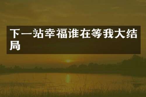 下一站幸福谁在等我大结局
