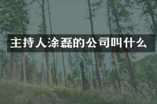 主持人涂磊的公司叫什么