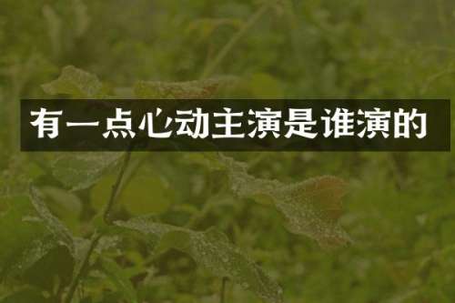 有一点心动主演是谁演的