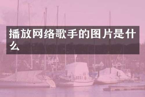 播放网络歌手的图片是什么