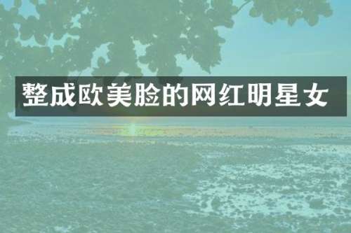 整成欧美脸的网红明星女