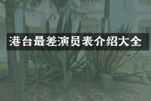 港台最差演员表介绍大全