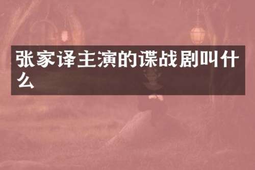 张家译主演的谍战剧叫什么