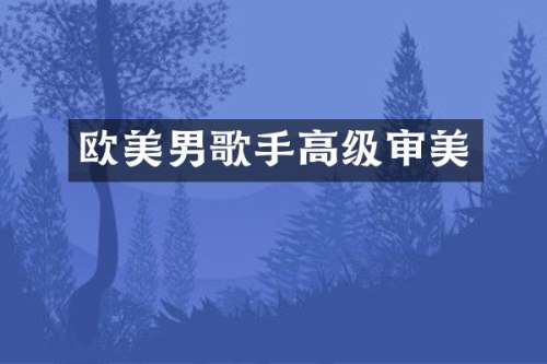 欧美男歌手高级审美