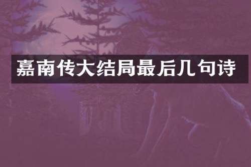 嘉南传大结局最后