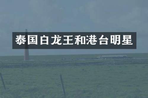 泰国白龙王和港台明星