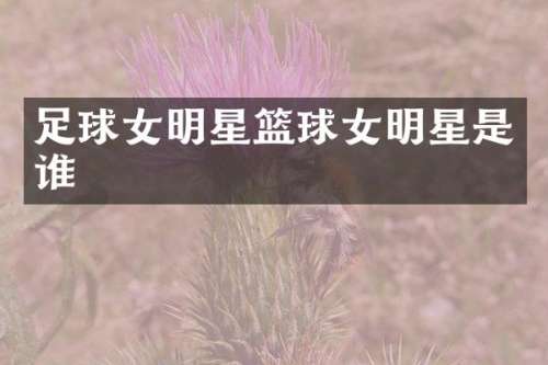 足球女明星篮球女明星是谁