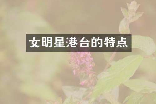 女明星港台的特点