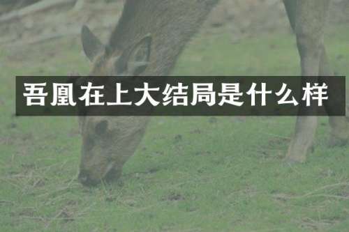 吾凰在上大结局是什么样