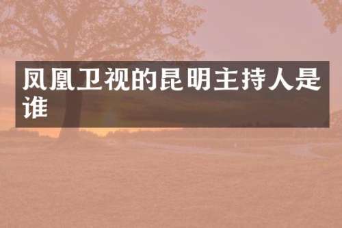 凤凰卫视的昆明主持人是谁