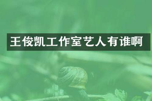 王俊凯工作室艺人有谁啊