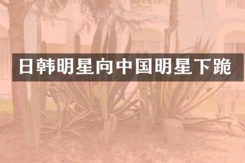 日韩明星向中国明星下跪
