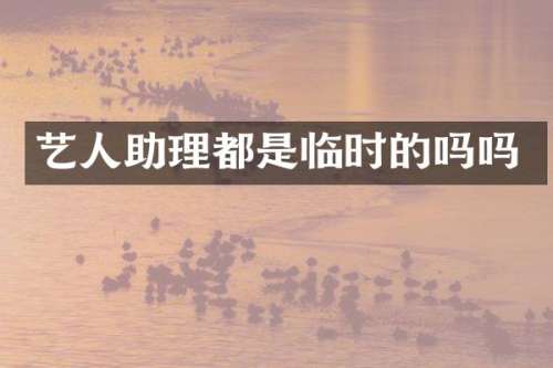 艺人助理都是临时的吗吗