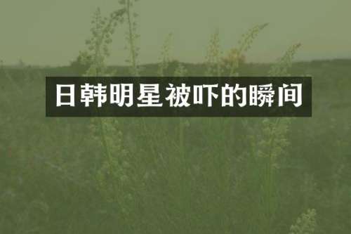 日韩明星被吓的瞬间