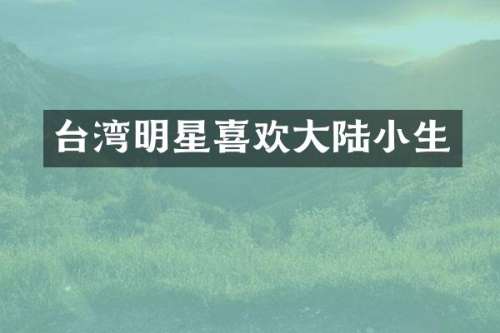 台湾明星喜欢大陆小生