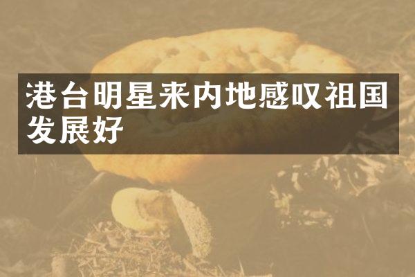 港台明星来内地感叹祖国发展好