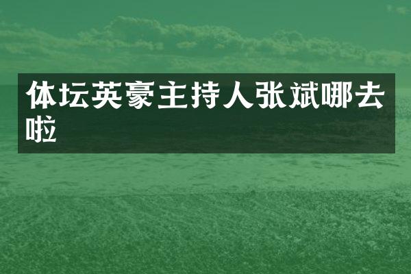 体坛英豪主持人张斌哪去啦