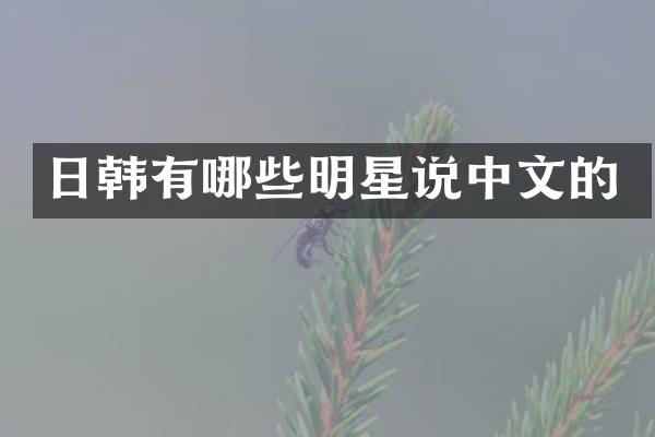 日韩有哪些明星说中文的