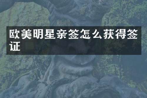 欧美明星亲签怎么获得签证