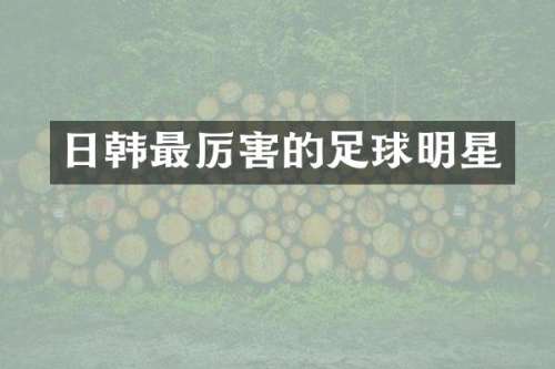 日韩最厉害的足球明星