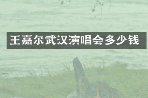 王嘉尔武汉演唱会多少钱