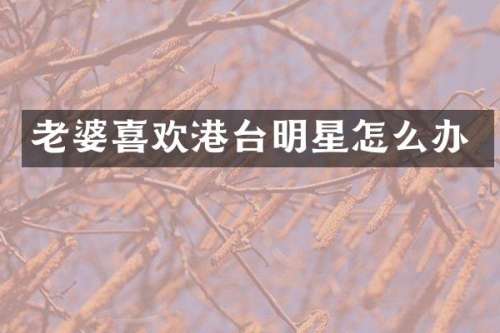 老婆喜欢港台明星怎么办