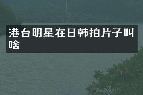 港台明星在日韩拍片子叫啥