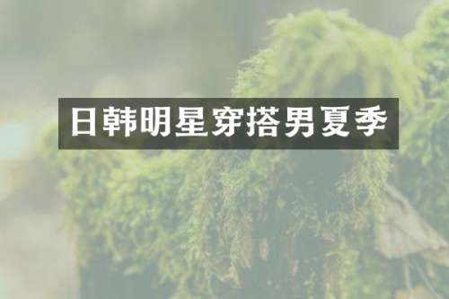 日韩明星穿搭男夏季