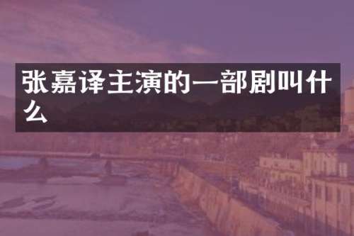张嘉译主演的一部剧叫什么