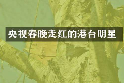 央视走红的港台明星