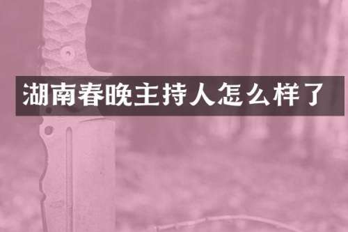 湖南主持人怎么样了