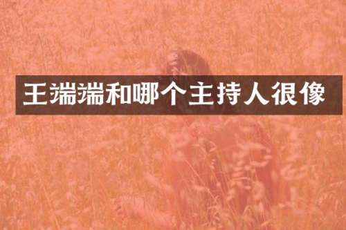 王端端和哪个主持人很像