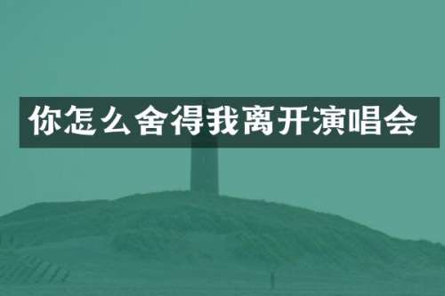 你怎么舍得我离开演唱会