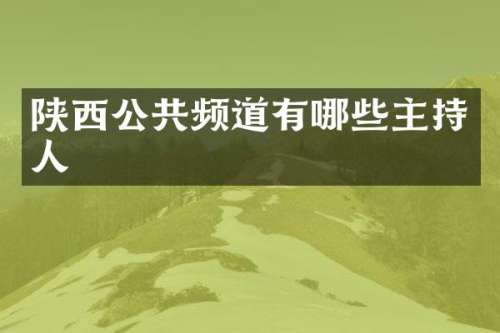 陕西公共频道有哪些主持人
