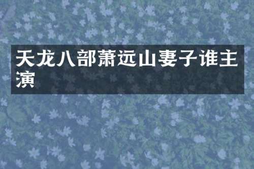 天龙八部萧远山妻子谁主演