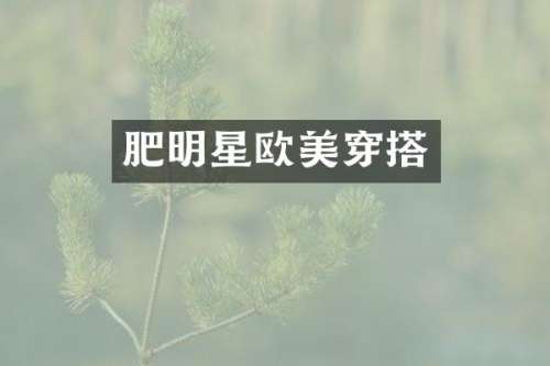肥明星欧美穿搭